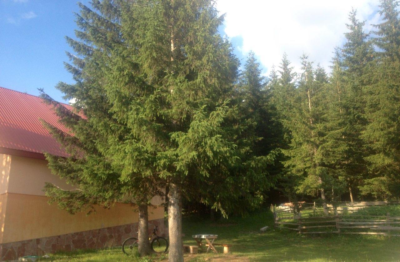 Durmitor Apartments Holiday Zabljak  Luaran gambar